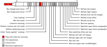 Relation between the style flags and declarations