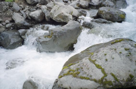 The relatively tame waterfall rapids