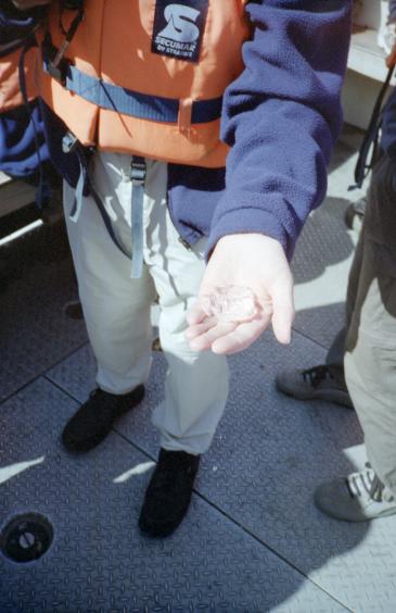 Dave holding ice which had broken off from an iceberg (and had been broken up even further)