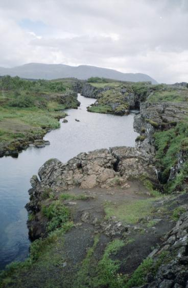 Water in the fissures which run across the site